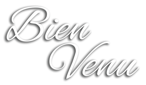 Bien Venu - restaurant Marseille - restaurant pizzeria marseille - pizza velodrome - restaurant armenien marseille